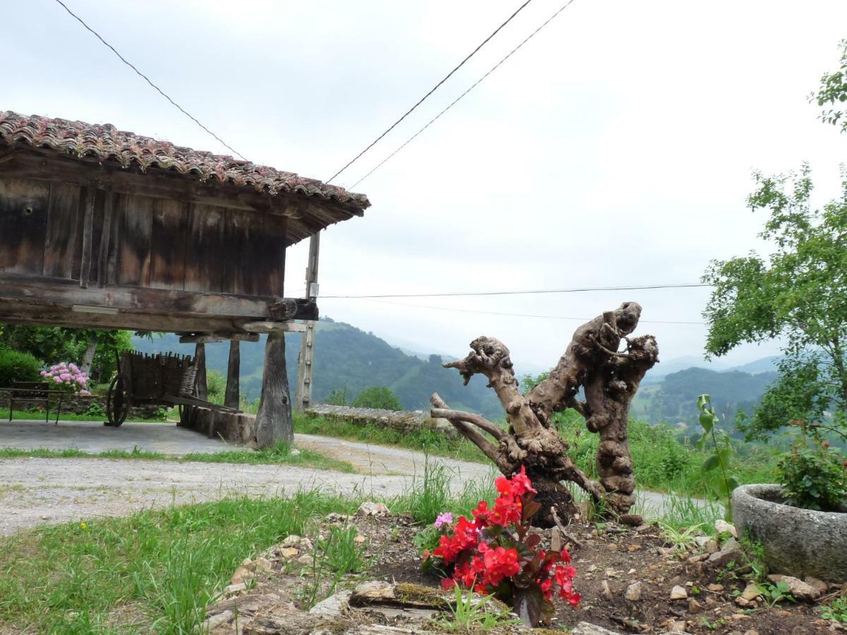 Gasthaus Casa Iris Narciandi Exterior foto